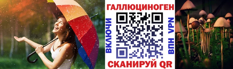 Псилоцибиновые грибы Psilocybine cubensis Сясьстрой
