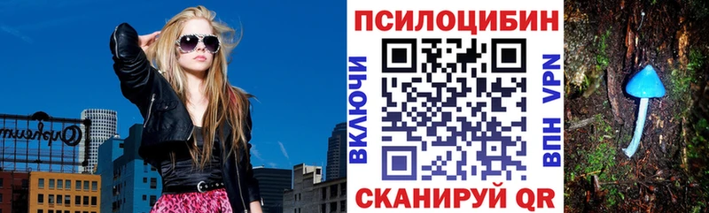 магазин продажи наркотиков  Сясьстрой  Галлюциногенные грибы GOLDEN TEACHER 